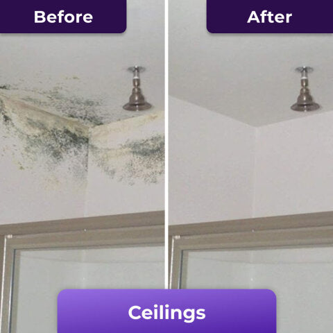 Powerful NuroClean Cleaning Gel That Penetrates All Surfaces & Removes All Mold at Source