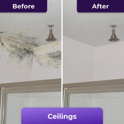 Powerful NuroClean Cleaning Gel That Penetrates All Surfaces & Removes All Mold at Source